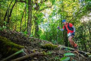 BIB: 3590
                            <button type="button" onclick="openModal(16015444)" class="btn btn-primary btn-sm float-right btn-popup" data-toggle="modal" data-target=".modal-high-quality">
                        <i class="fas fa-shopping-cart"></i> Add to Cart
                    </button>
                                            <button type="button" onclick="isThisMe(16015444, true)" class="btn btn-success btn-sm float-right btn-popup btn-isme hidden" data-toggle="tooltip" data-placement="bottom" title="นี่คือรูปของคุณใช่ไหม คลิกที่นี่เพื่อเอาเข้าอัลบั้ม">
                        <i class="fas fa-plus"></i> Add to album
                    </button>
                    <button type="button" onclick="isThisMe(16015444, false)" class="btn btn-warning btn-sm float-right btn-popup btn-isnotme hidden">
                        <i class="fas fa-ban"></i> Remove from album
                    </button>